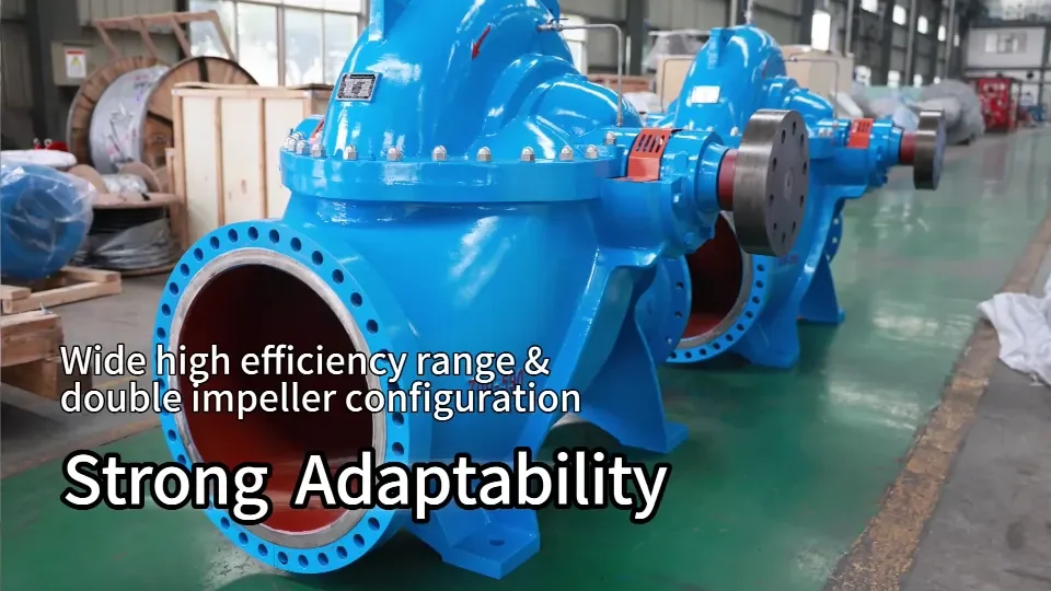 Six Advantages Of Cps Series Split Case Pump