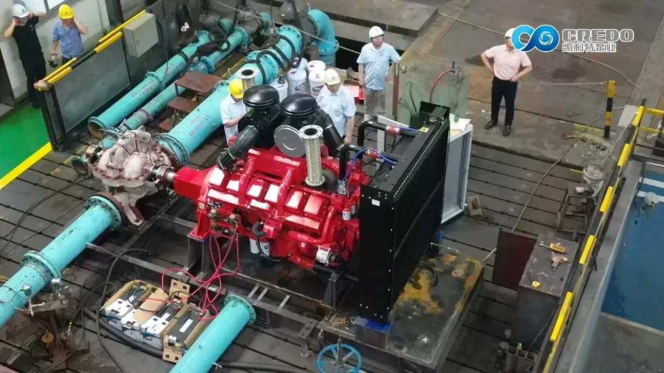 Split Case Pump (diesel Engine Driven) – Testing