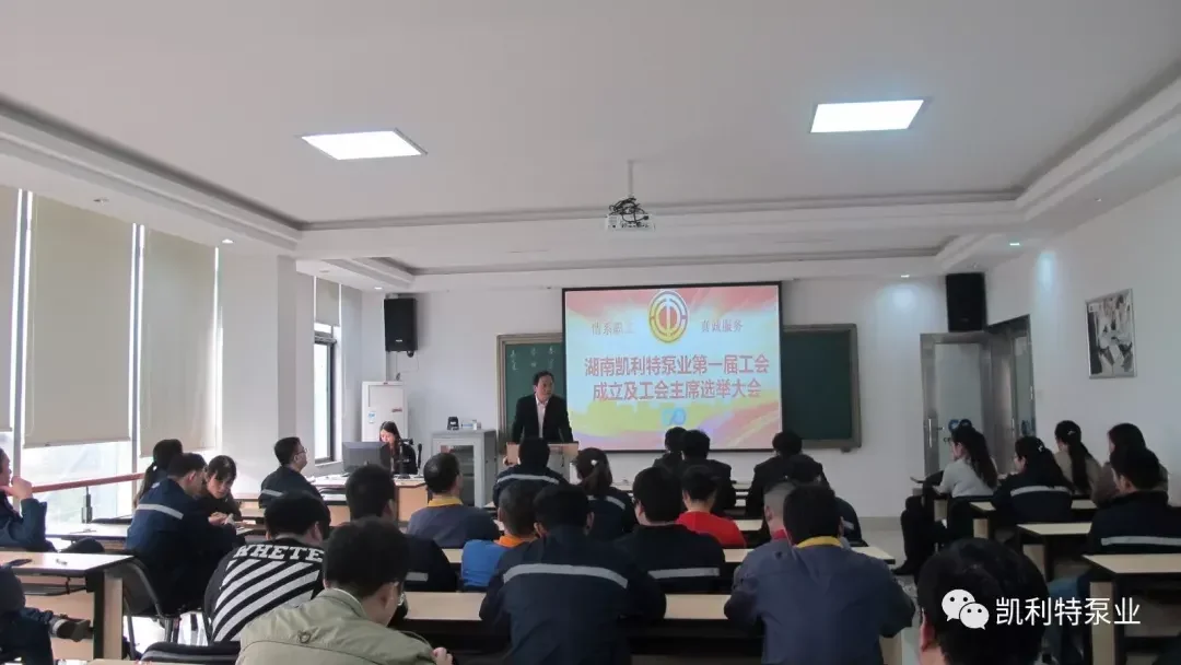 Union Formation And Elections