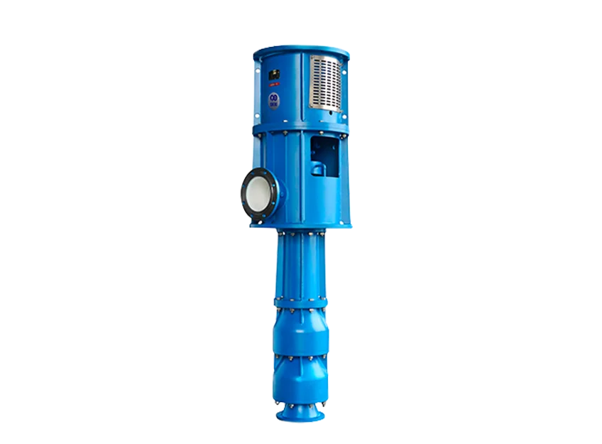 Home 2 Vcp Service Vertical Turbine Pump